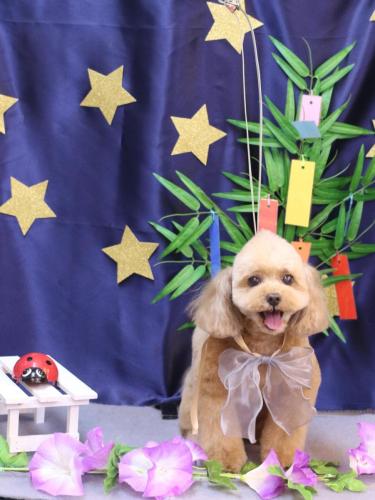 20230719バーディーくん